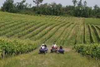 Fin de semana de cuatrimoto con amigos